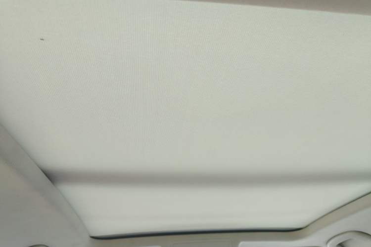 Used Volkswagen Passat 2019 330TSI Elite Edition China VI Headliner