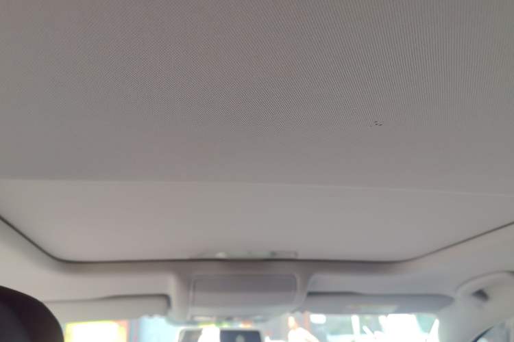 Used Volkswagen Passat 2019 280TSI Business Edition China VI Headliner