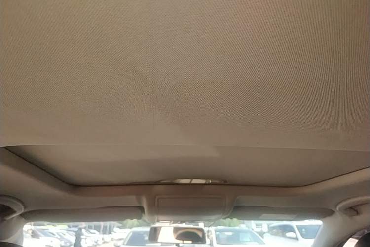 Used Volkswagen Passat 2019 280TSI Business Edition China VI Headliner