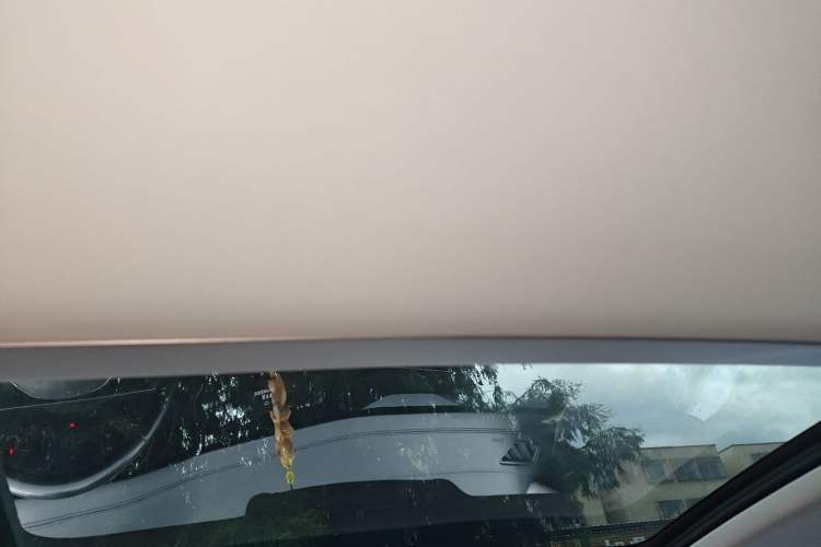 Used Volkswagen Passat 2019 330TSI Elite Edition China VI Headliner