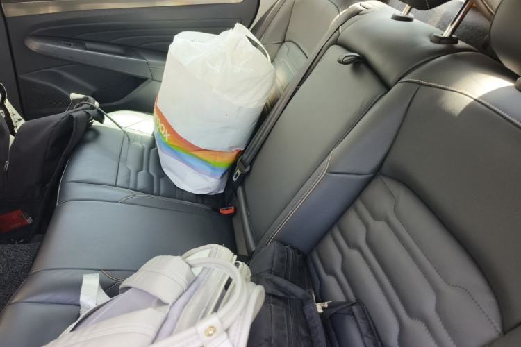 Used Volkswagen Passat 2019 330TSI Elite Edition China VI Left Rear Seat