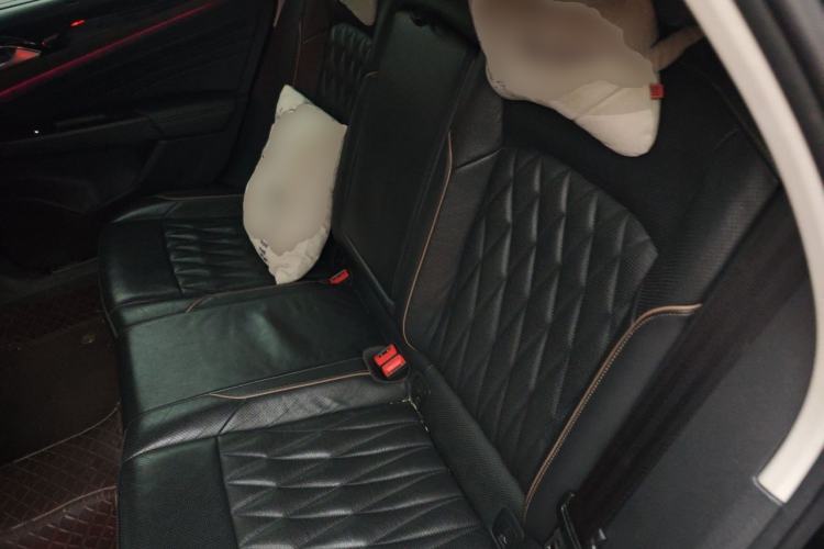Used Volkswagen Passat 2019 330TSI Luxury Edition China VI Standard Left Rear Seat