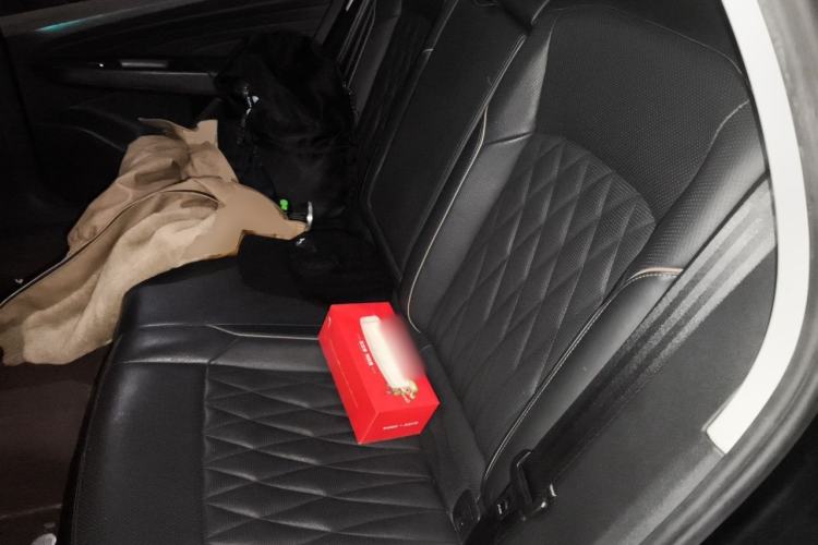 Used Volkswagen Passat 2019 330TSI Luxury Edition China VI Standard Left Rear Seat