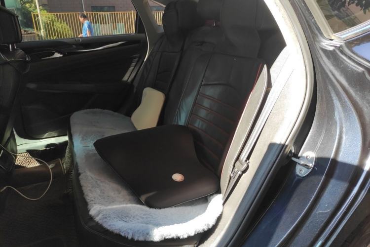 Used Volkswagen Passat 2019 330TSI Prestige Edition China V Standard Left Rear Seat