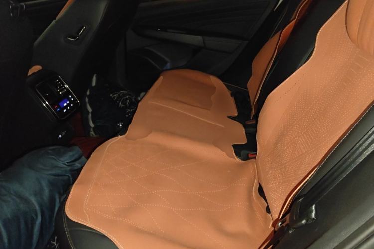 Used Volkswagen Passat 2019 330TSI Elite Edition China VI Left Rear Seat