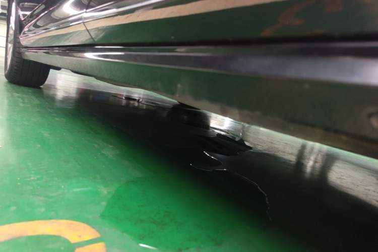 Used Volkswagen Passat 2019 330TSI Elite Edition China VI Left Side Sill