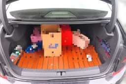 Thumbnail 20