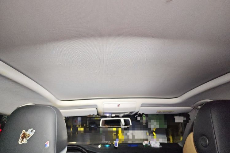 Used Volkswagen Passat 2019 330TSI Elite Edition China VI Headliner