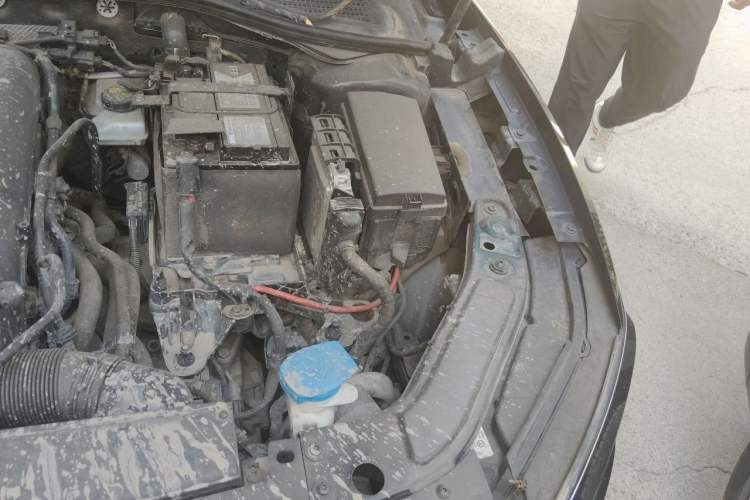 Used Volkswagen Passat 2020 Revised Version 280TSI Business Edition China VI Standard Engine Bay Left