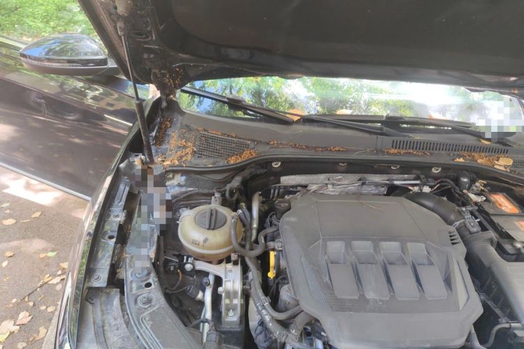 Used Volkswagen Passat 2020 330TSI Elite Edition China VI Engine Bay Right