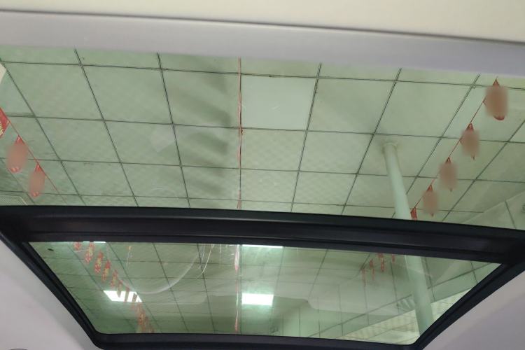 Used Volkswagen Passat 2020 Revised Version 330TSI Luxury Edition China VI Standard Headliner