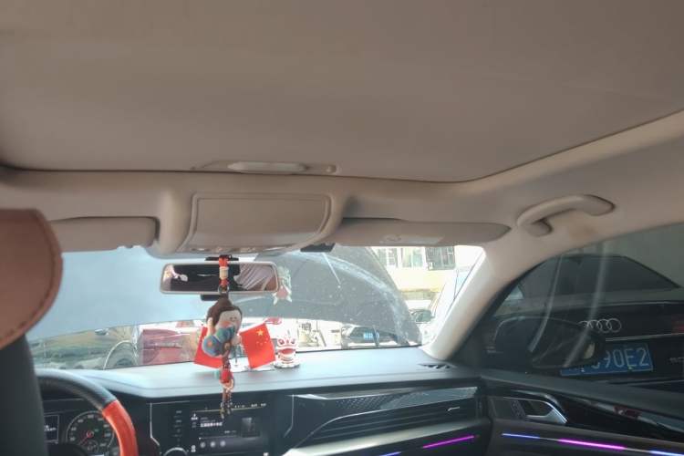 Used Volkswagen Passat 2020 Revised Version 280TSI Business Edition China VI Standard Headliner