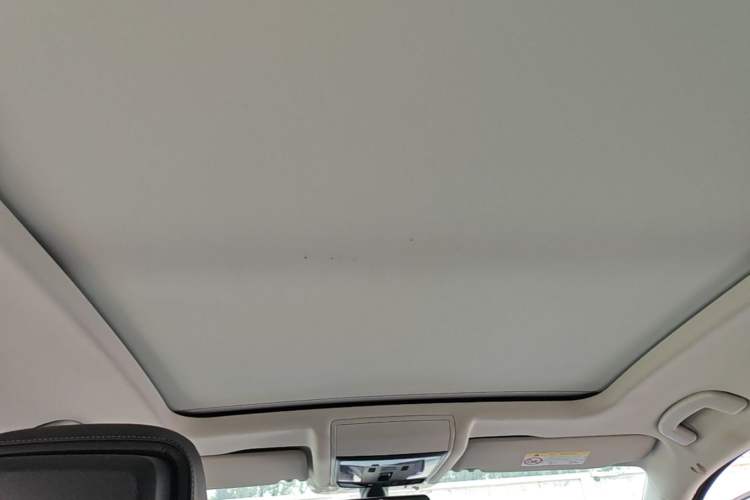 Used Volkswagen Passat 2020 Revised Version 330TSI Luxury Edition China VI Standard Headliner
