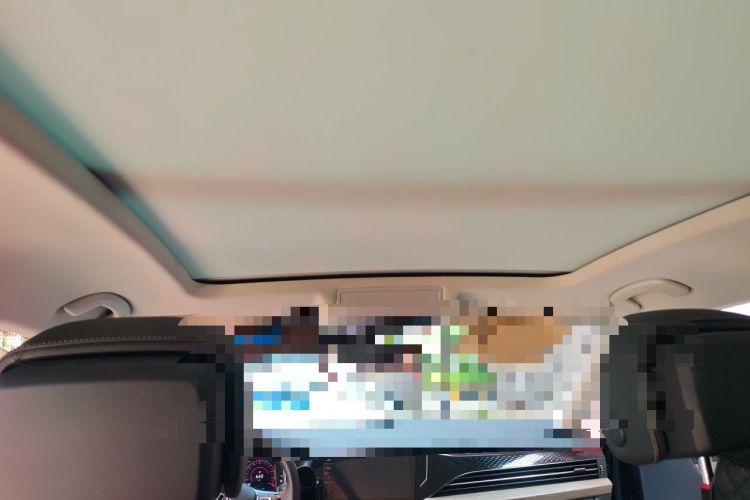 Used Volkswagen Passat 2020 Revised Version 330TSI Luxury Edition China VI Standard Headliner