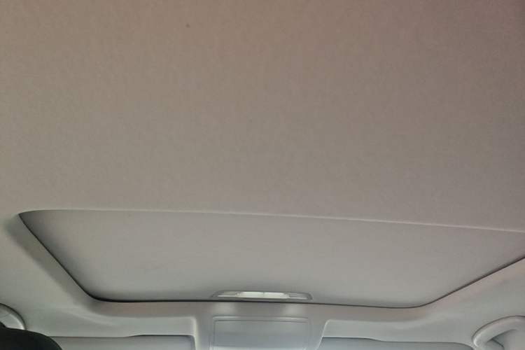 Used Volkswagen Passat 2020 280TSI Business Edition China VI Standard Headliner