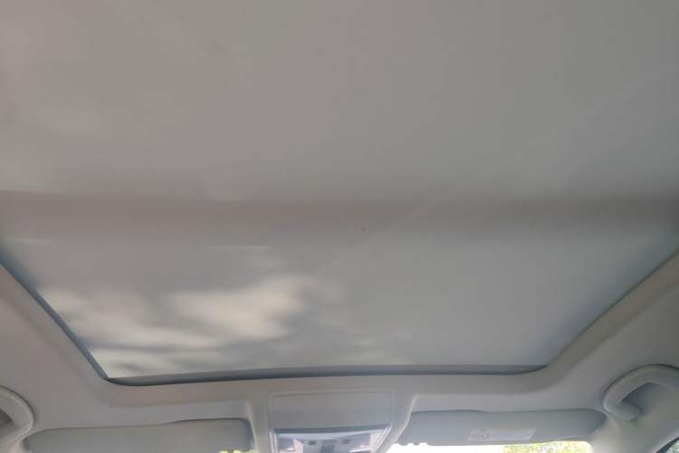 Used Volkswagen Passat 2020 330TSI Elite Edition China VI Headliner