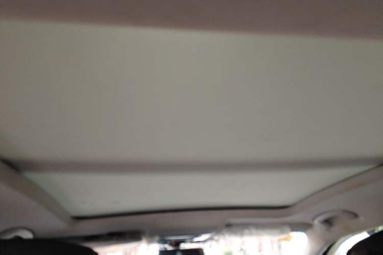 Used Volkswagen Passat 2020 330TSI Elite Edition China VI Headliner