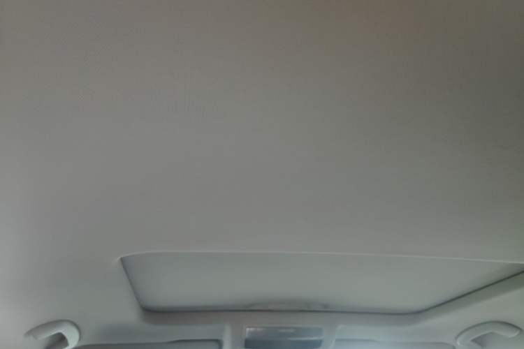 Used Volkswagen Passat 2020 Revised Version 280TSI Business Edition China VI Standard Headliner