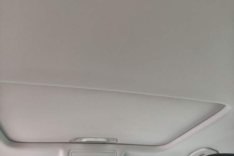 Used Volkswagen Passat 2020 280TSI Business Edition China VI Standard Headliner