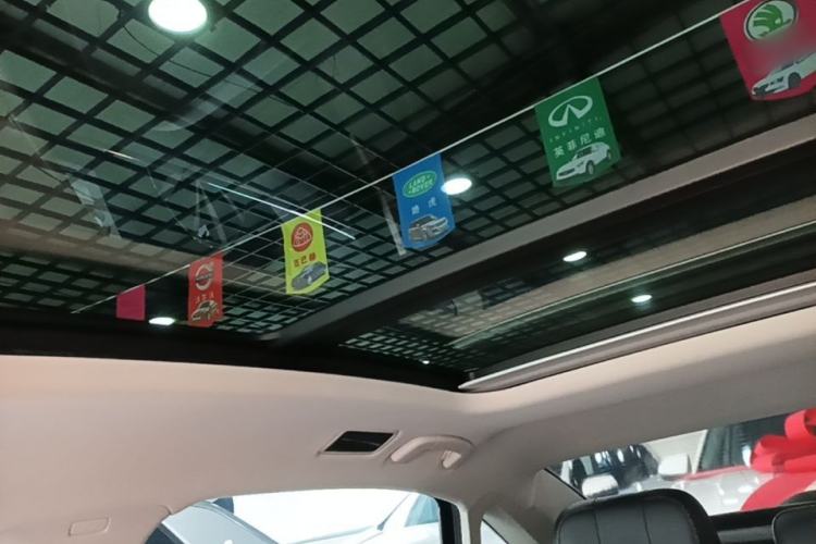 Used Volkswagen Passat 2020 Revised Version 330TSI Luxury Edition China VI Standard Headliner