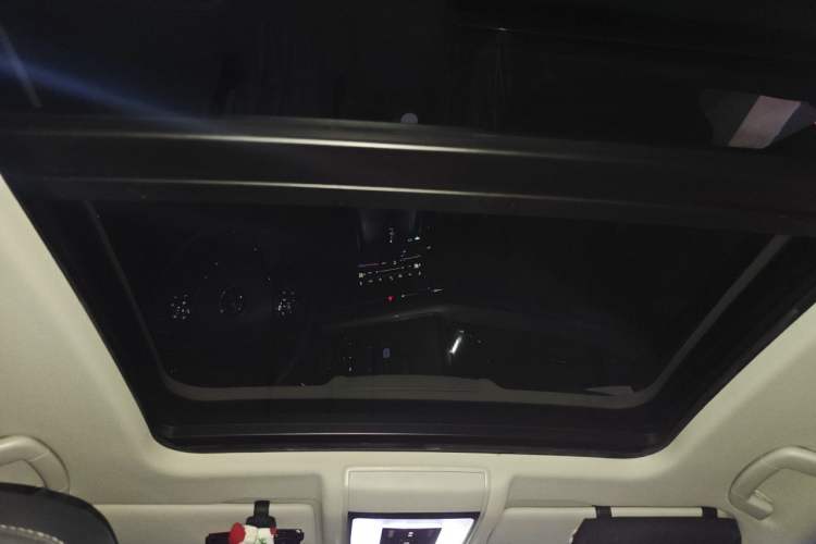 Used Volkswagen Passat 2020 Revised Version 330TSI Luxury Edition China VI Standard Headliner