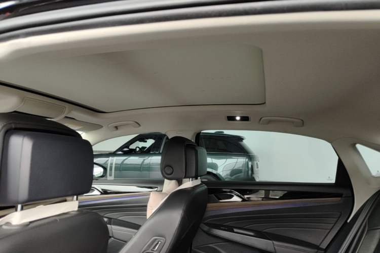 Used Volkswagen Passat 2020 Revised Version 330TSI Luxury Edition China VI Standard Headliner