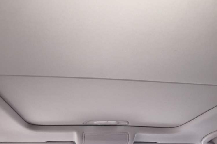 Used Volkswagen Passat 2020 Revised Version 280TSI Business Edition China VI Standard Headliner