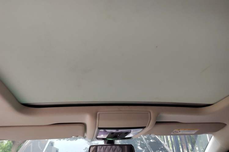 Used Volkswagen Passat 2020 Revised Version 330TSI Luxury Edition China VI Standard Headliner
