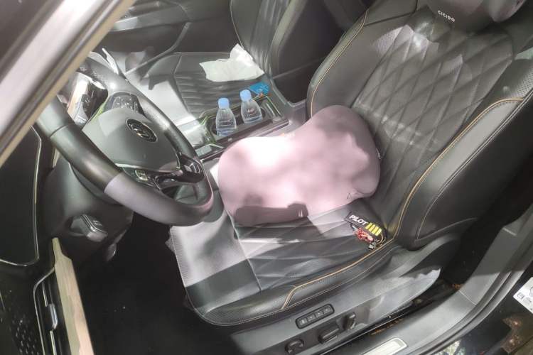 Used Volkswagen Passat 2020 330TSI Elite Edition China VI Left Front Seat