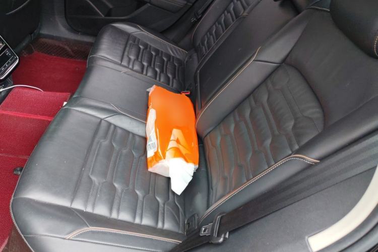 Used Volkswagen Passat 2020 330TSI Elite Edition China VI Left Rear Seat