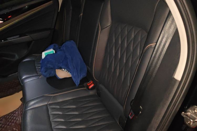 Used Volkswagen Passat 2020 330TSI Luxury Edition China VI Left Rear Seat