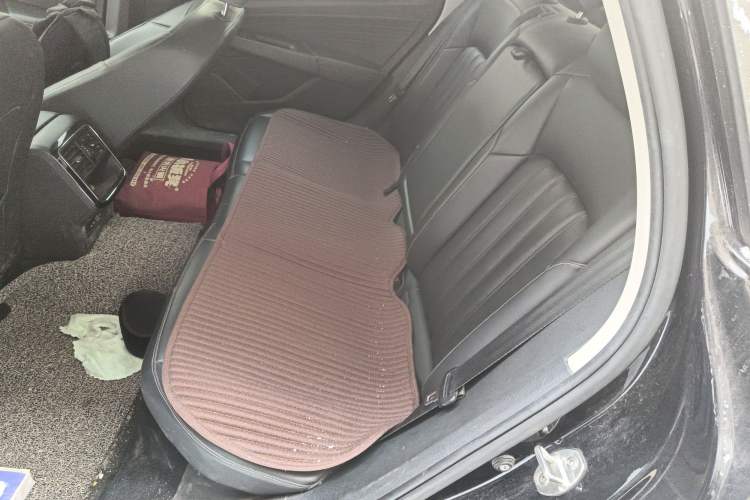 Used Volkswagen Passat 2020 Revised Version 280TSI Business Edition China VI Standard Left Rear Seat