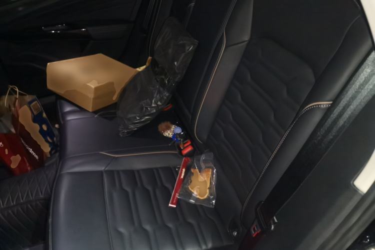 Used Volkswagen Passat 2020 330TSI Elite Edition China VI Left Rear Seat