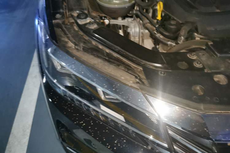 Used Volkswagen Passat 2020 330TSI Luxury Edition China VI Right Front Headlight