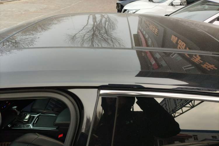 Used Volkswagen Passat 2020 Revised Version 330TSI Luxury Edition China VI Standard Roof