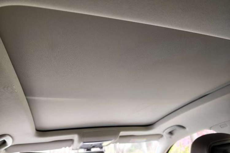 Used Volkswagen Passat 2020 330TSI Luxury Edition China VI Headliner