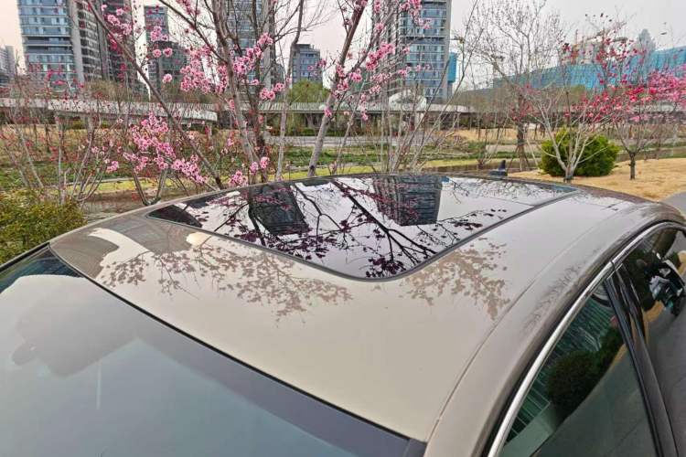 Used Volkswagen Passat 2020 330TSI Luxury Edition China VI Roof