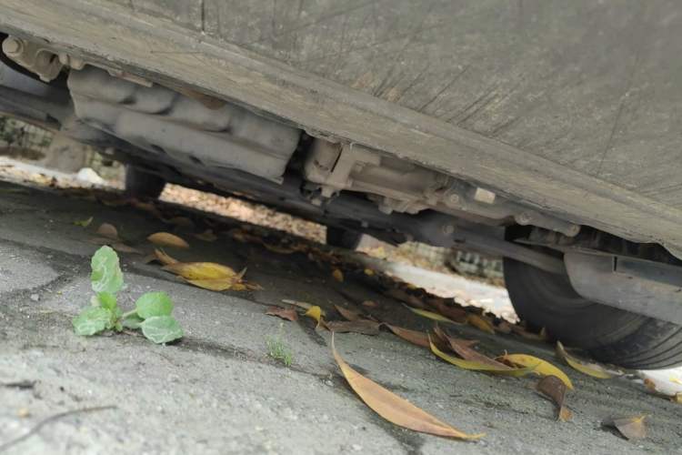 Used Volkswagen Passat 2021 280TSI Business Edition Chassis Front