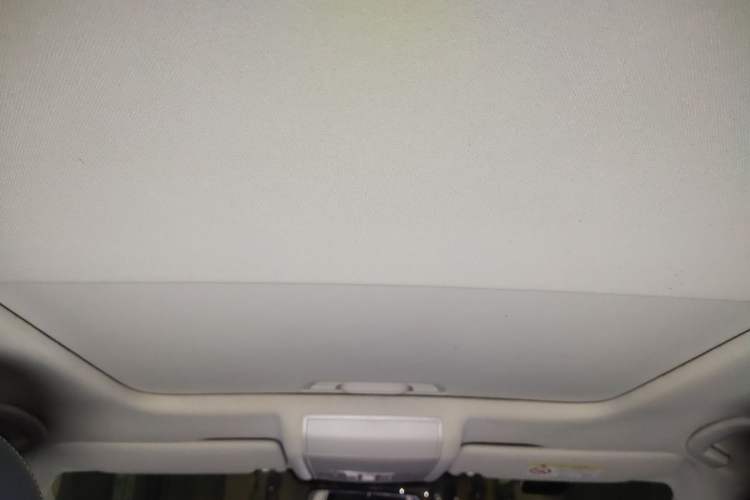 Used Volkswagen Passat  Headliner