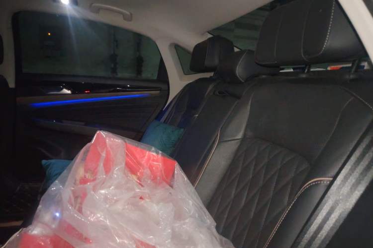 Used Volkswagen Passat 2021 330TSI Luxury Edition Left Rear Seat