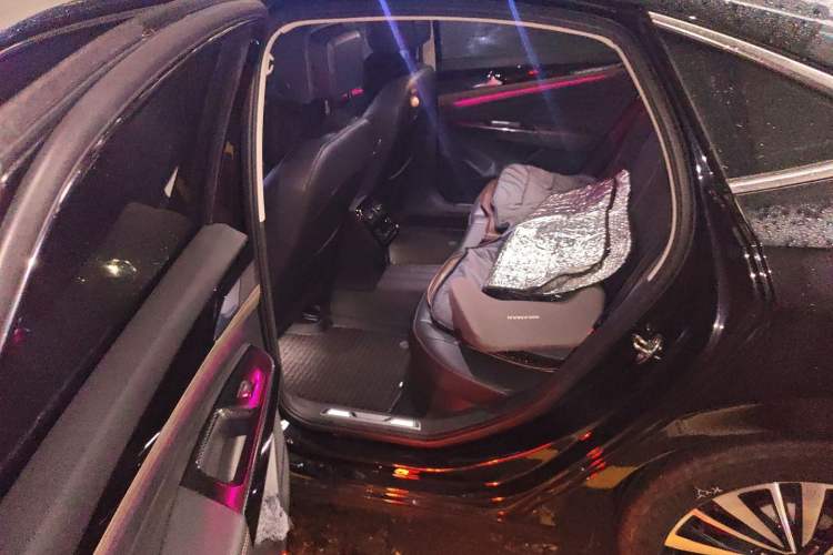 Used Volkswagen Passat 2021 330TSI Luxury Edition Left Rear Seat