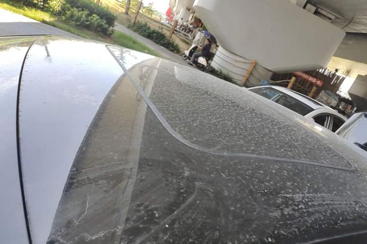 Used Volkswagen Passat 2021 280TSI Business Edition Roof