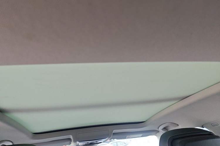 Used Volkswagen Passat 2022 330TSI Luxury Edition Headliner