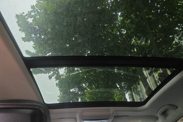 Used Volkswagen Passat 2022 330TSI Luxury Edition Headliner