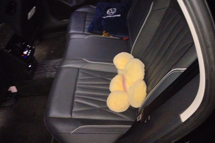 Used Volkswagen Passat 2022 330TSI Luxury Edition Left Rear Seat