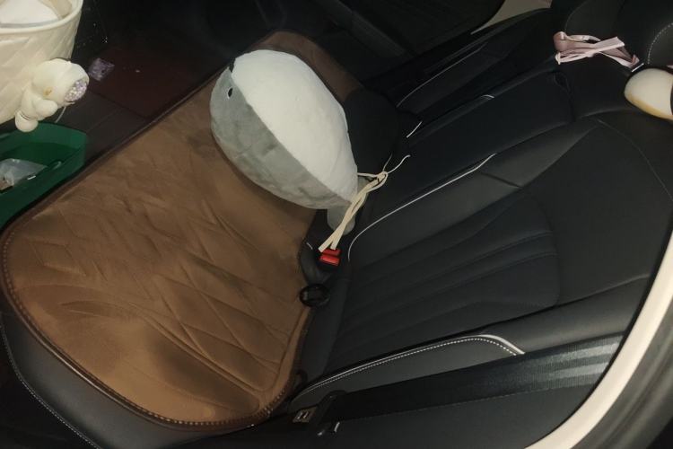 Used Volkswagen Passat 2022 330TSI Starry Elite Edition Left Rear Seat