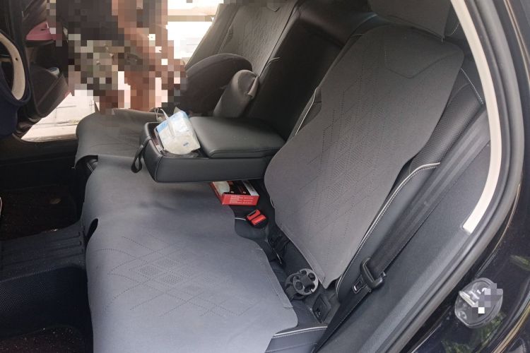 Used Volkswagen Passat 2022 330TSI Luxury Edition Left Rear Seat