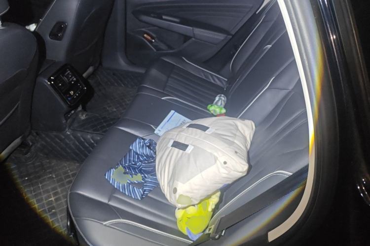 Used Volkswagen Passat 2022 330TSI Starry Elite Edition Left Rear Seat
