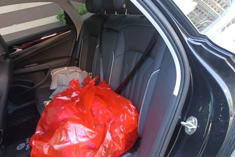 Used Volkswagen Passat 2022 330TSI Elite Edition Left Rear Seat