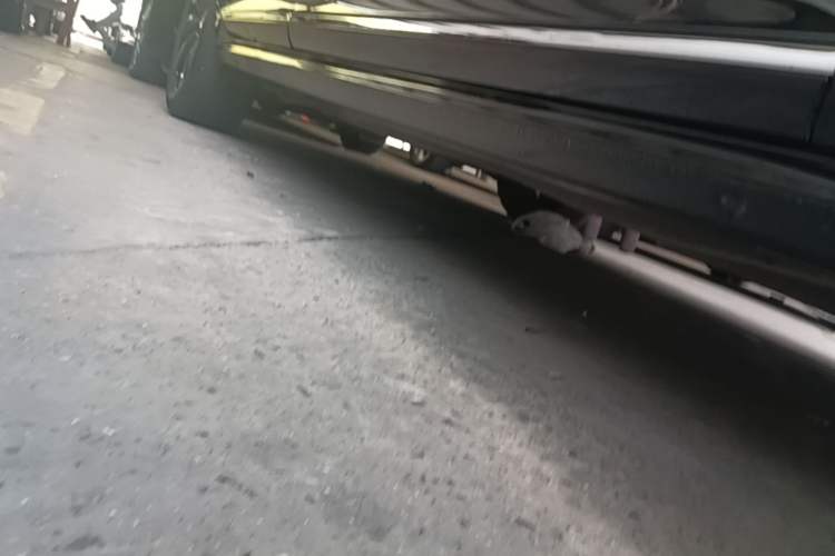 Used Volkswagen Passat 2022 330TSI Starry Elite Edition Custom Version Right Side Sill